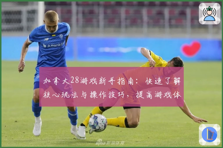 加拿大28游戏新手指南：快速了解核心玩法与操作技巧，提高游戏体验