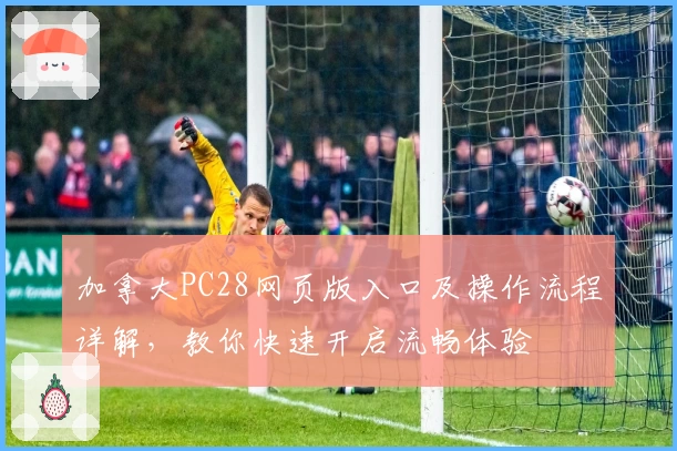 加拿大PC28网页版入口及操作流程详解，教你快速开启流畅体验