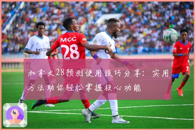 加拿大28预测使用技巧分享：实用方法助你轻松掌握核心功能