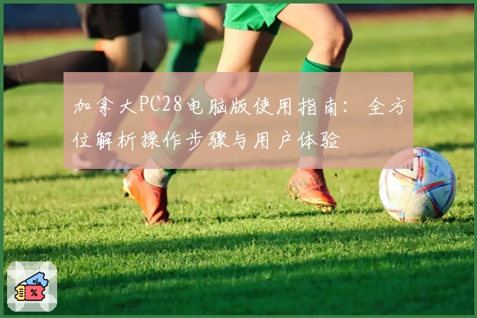 加拿大PC28电脑版使用指南：全方位解析操作步骤与用户体验