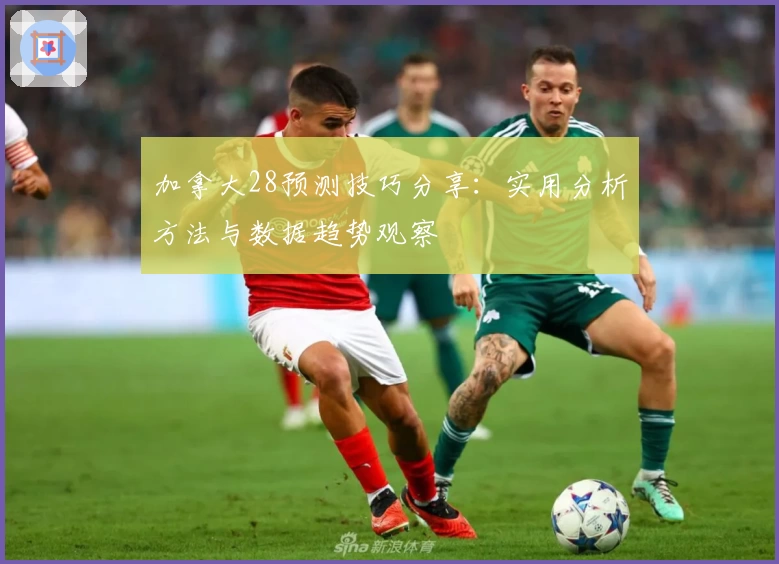 加拿大28预测技巧分享：实用分析方法与数据趋势观察