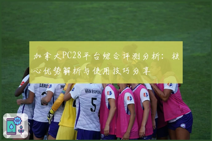 加拿大PC28平台综合评测分析：核心优势解析与使用技巧分享