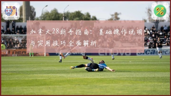 加拿大28新手指南:基础操作说明与实用技巧全面解析