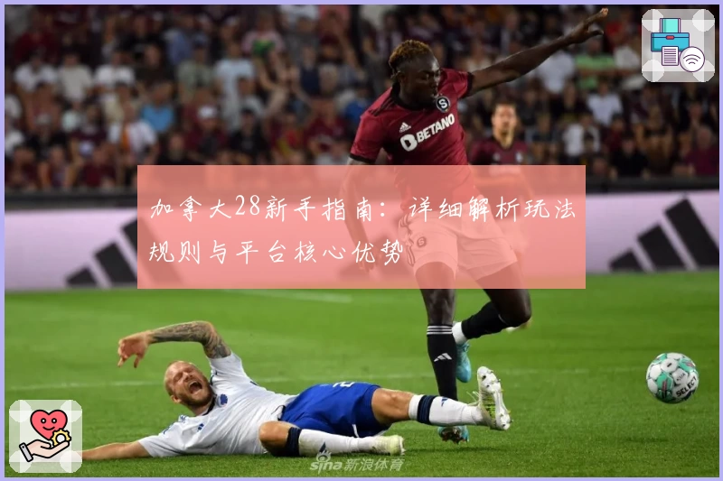 加拿大28新手指南：详细解析玩法规则与平台核心优势