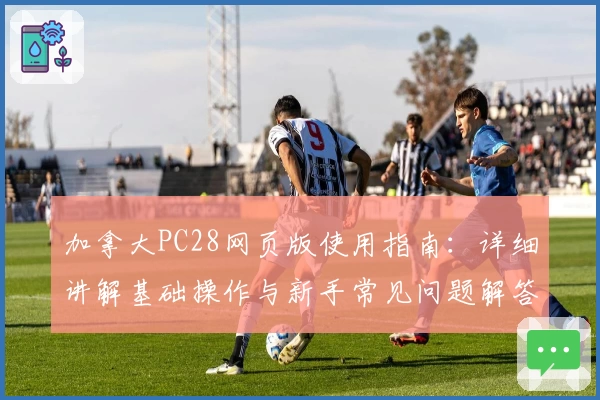 加拿大PC28网页版使用指南：详细讲解基础操作与新手常见问题解答
