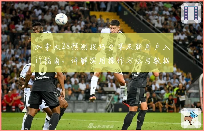 加拿大28预测技巧分享及新用户入门指南，详解实用操作方法与数据分析趋势
