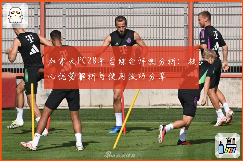 加拿大PC28平台综合评测分析：核心优势解析与使用技巧分享