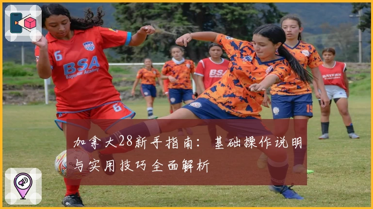 加拿大28新手指南：基础操作说明与实用技巧全面解析